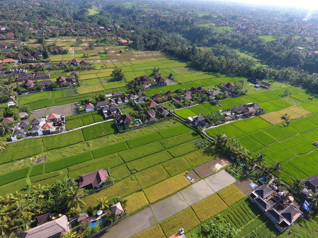 Pondok Penestanan Villa Ubud Exterior photo